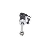 Frullatore a Immersione – Albero da 31cm – 650W – Maxima 08410110